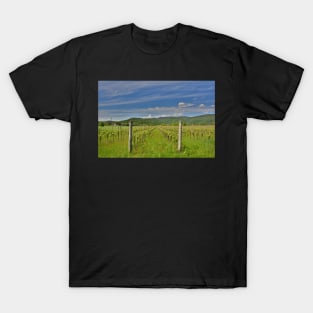 Spring Landscape Near Cividale del Friuli T-Shirt